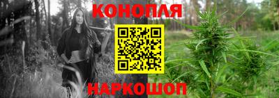 скорость Славгород